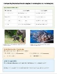 Animal Reproduction Strategies