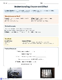 Cause and Effect Sentences