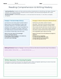 Reading Comprehension & Writing Skills Worksheet