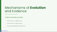 Mechanisms of Evolution and Evidence