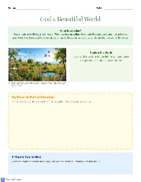 Understanding Creation and Community