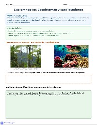 Explorando Ecosistemas en Parejas