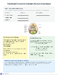 Nervous System Student Packet