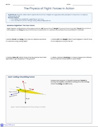 The Physics of Flight: Understanding Aerodynamics