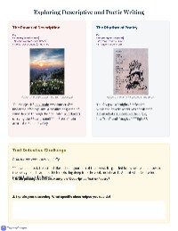 Text Type Detective