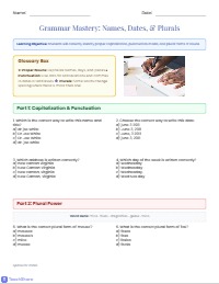 Grammar Skills: Capitalization, Punctuation, and Plurals