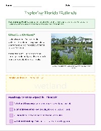 Exploring Florida's Wonderful Wetlands