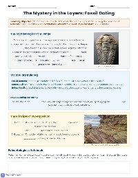 Stone Shells Fossil Investigation Worksheet
