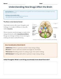 Drugs and the Brain Packet