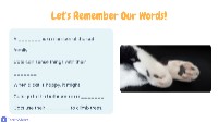 Cat Word Review & Share