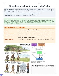 Evolution of Human Illnesses