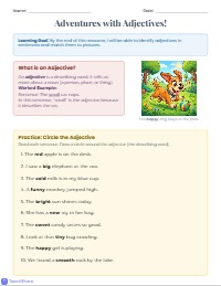 Adjective Adventure: Describing Words Practice