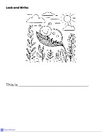CVC Word Magic and Sentence Building