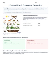 Ecosystem Dynamics and Matter Cycling