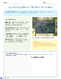 Aquatic Ecosystem Connections