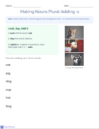 Adding S to Make Words Plural