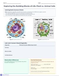Comparing Plant and Animal Cell Structures