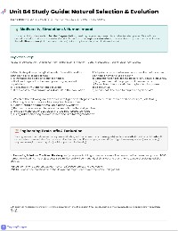 Unit 4 Study Guide
