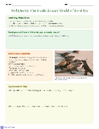 Exploring Reptile Evolution and Ecology