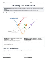 Understanding Polynomial Anatomy: Visual Reference Guide