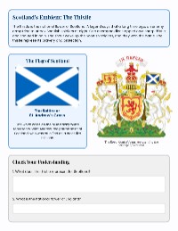 Floral Emblems of the UK