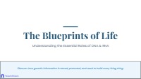 Understanding DNA and RNA Functions