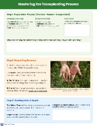 Planting Success with Plugs