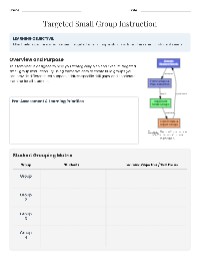 Targeted Small Group Instruction Guide
