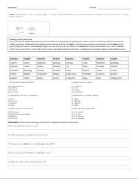 Spanish 1 Preterite Family and Chores Packet