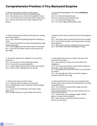 SOL Reading Comprehension Practice