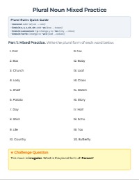 Mastering Plural Noun Rules Practice Worksheet