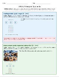 Grade 3 Interpreting Division Quotients