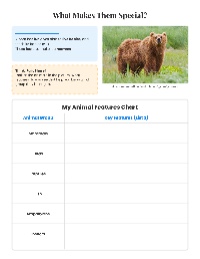 Exploring Animal Classification