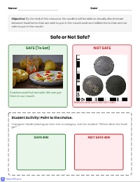 Mouth Safety: Safe vs. Not Safe Sorting