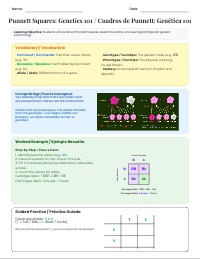 Mastering Punnett Squares: Genetics Bilingual Guide
