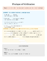 Utilisation du Participe Passé