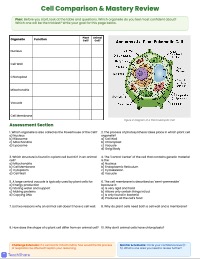 Exploring Life Processes and Cell Structures