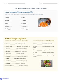 Countable and Uncountable Nouns Practice