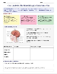 Neurological Effects of Substance Use