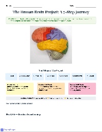 Brain Explorers Project