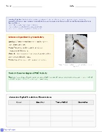 Interactive Gravity Exploration
