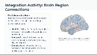 Brain Structure and Function