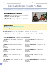 Mastering Simple Sentences: Subjects and Predicates