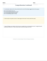 Pet Rescue Reading Comprehension