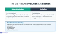 Exploring Biological Variation Within Species