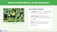 Questioning Strategy Discussion