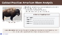 Understanding Author's Perspective in Texts