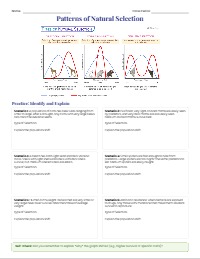 Natural Selection Graph Interpretation Practice