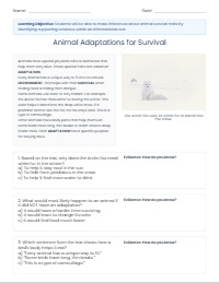 Understanding Animal Adaptations Through Evidence