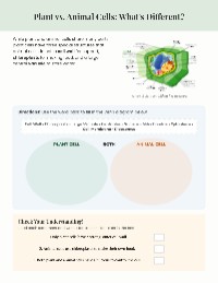 Cell Structures Review